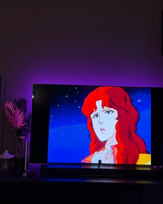 Samsung s95b 55” 2023