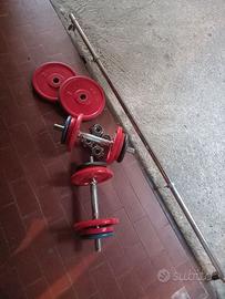 Kit manubri pesi e bilanciere