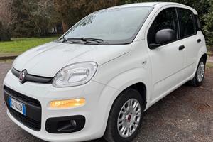 Fiat Panda 1.2 EasyPower Easy ADATTA NEOPATENTATI