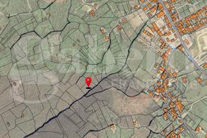 Terreno Agricolo Alvignano [Cod. rif 3227414VCG]