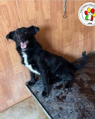 ELIO sei ancora un cucciolo