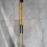 Bastoni ski alp Atk race carbon 