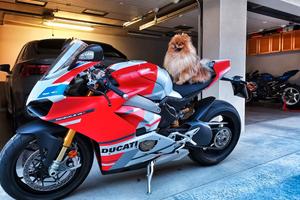 Ducati Panigale V4s CORSE - Desmo fatto