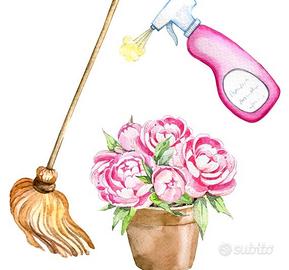 Servizi di pulizia appartamenti