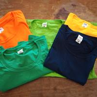 5 t-shirt donna fruit of the loom L cotone