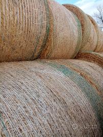 Fieno di prato stabile