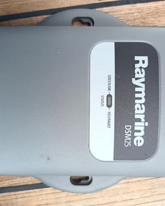 Raymarine Dsm 25