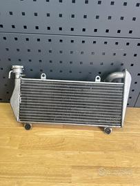 Radiatore Ducati panigale 1199 originale