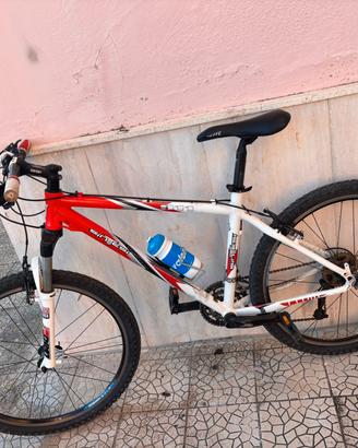  🚴♂️ SINTESI 911