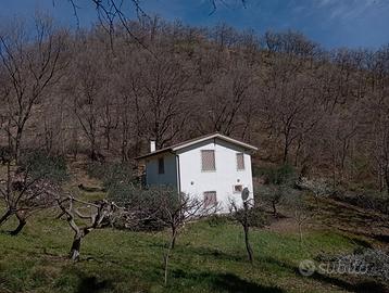 Vendita casa singola immersa nel verde