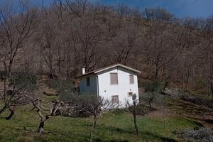 Vendita casa singola immersa nel verde