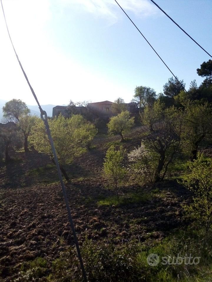 Masseria a Oriolo (CS) - Vista 2