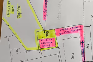 Piccolo rustico + frutteto specializzato