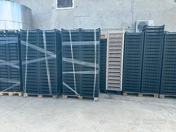 Cassette appassimento uva