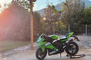 Kawasaki Ninja ZX4RR