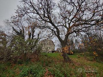 Indipendente a Poggio San Marcello