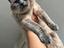 Immagine 1