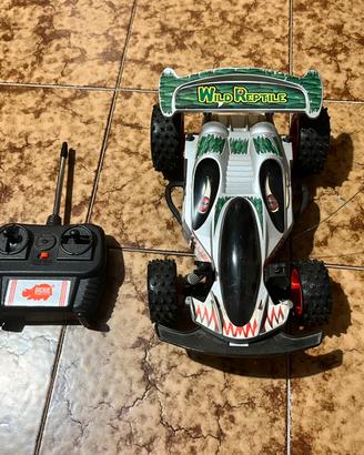 Macchina telecomandata ROTTA