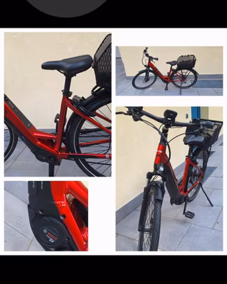 Pegasus Premio EVO 10 Lite Wave -
 E-Trekkingbike