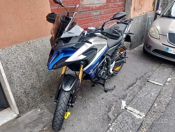 Voge Trofeo 525 - 2025