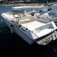 Airon molinari master fish 25
