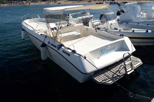 Airon molinari master fish 25