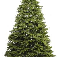 Albero di Natale XONE Oscar 210cm