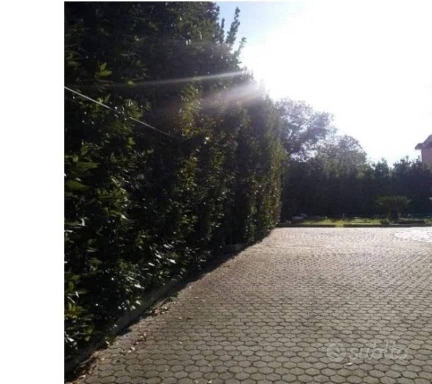 Appartamento – Figline Vegliaturo, Cosenza - Vista 3