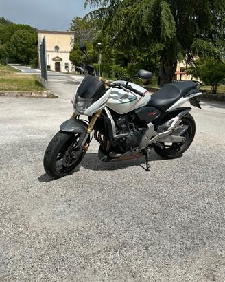 HONDA HORNET CUP 600