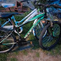 mtb e bici da ragazza 