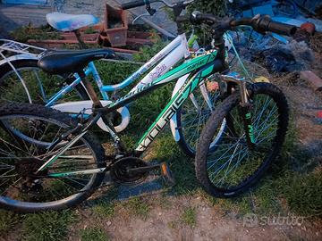 mtb e bici da ragazza 