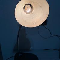 Lampada