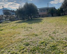 Terreno in area produttiva commerciale
