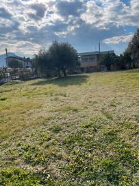 Terreno in area produttiva commerciale