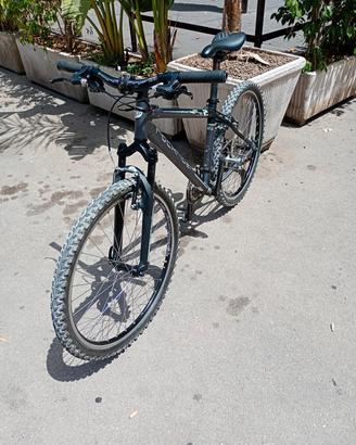 bici mtb