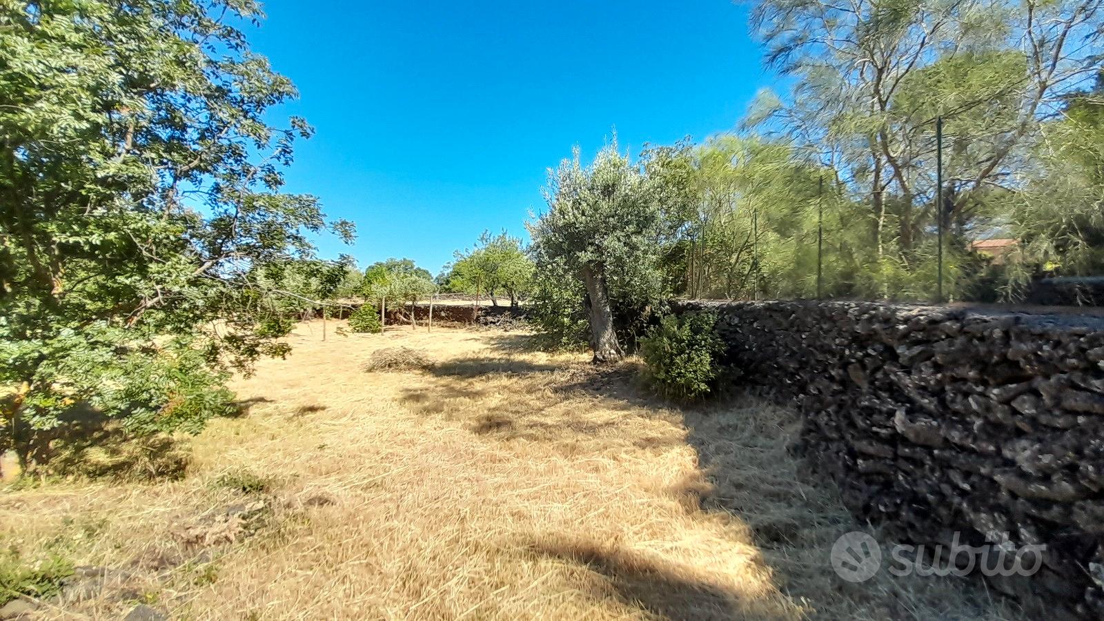 Terreno 4.020 mq con rudere 20 mq a Belpasso - Altro