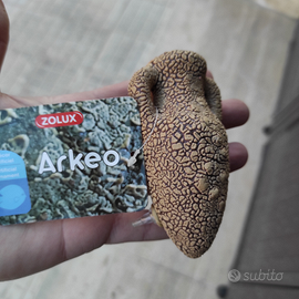 Anfora acquario porosa