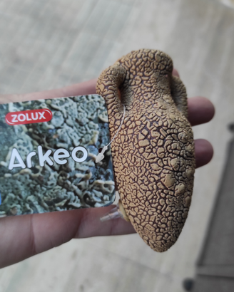 Anfora acquario porosa