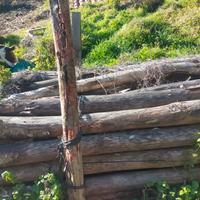 pali di castagno scortecciato