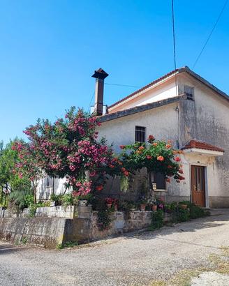 Casa indipendente