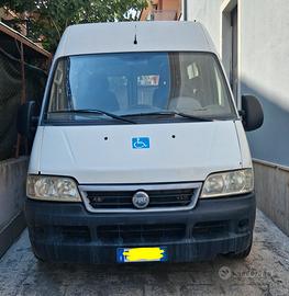 Fiat Ducato con Pedana Disabili