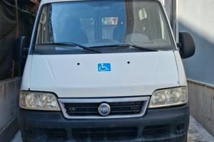 Fiat Ducato con Pedana Disabili