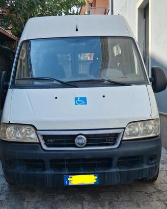 Fiat Ducato con Pedana Disabili 