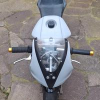 Minimoto MIDI DM Polini 40cc 10 cv acqua