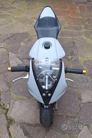 Minimoto MIDI DM Polini 40cc 10 cv acqua