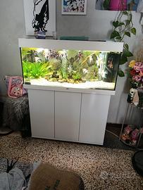 acquario juwel rio 180+ mobile 