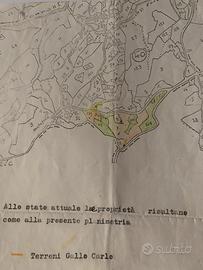 Vendita terreni località Duglia Bisignano