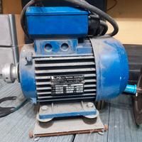 motori elettrici 220 volts