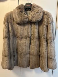 Pelliccia in petit gris