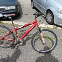Bicicletta bambino da rimettere a posto 20 euro 